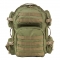 Green with Tan Trim